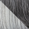 Gallery_HAI000360-29312