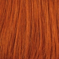 Gallery_HAI000283-36649