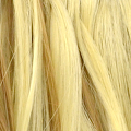 Gallery_curls-r14-88